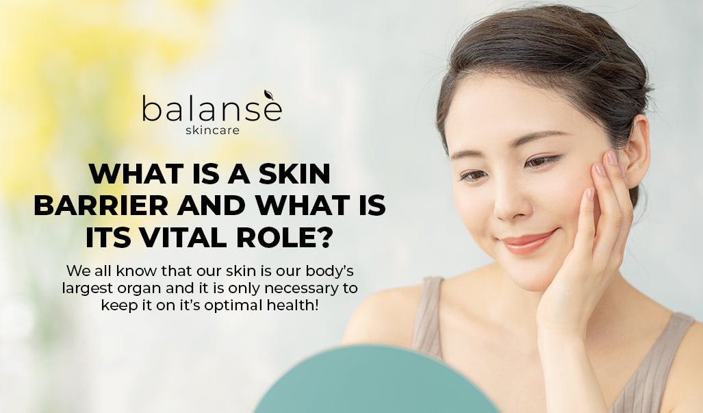 WHAT IS A SKIN BARRIER AND WHAT IS ITS VITAL ROLE? balanseph